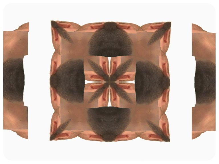 Video art Faces, 2003 - וידאו ארט פרצופים, 2003