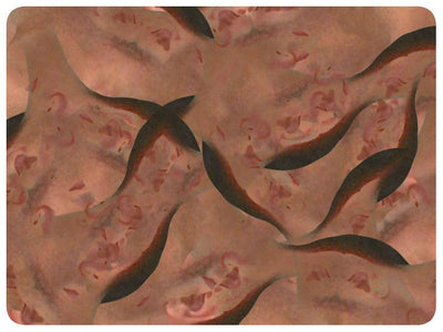 Video art Faces, 2003 - וידאו ארט פרצופים, 2003
