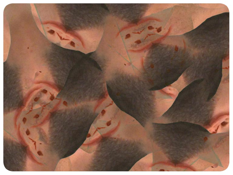 Video art Faces, 2003 - וידאו ארט פרצופים, 2003