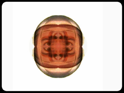Video art Faces, 2003 - וידאו ארט פרצופים, 2003