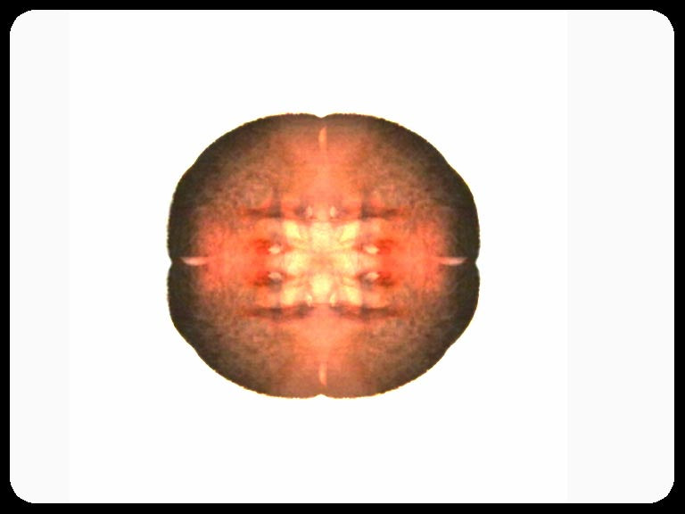 Video art Faces, 2003 - וידאו ארט פרצופים, 2003