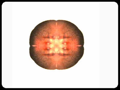 Video art Faces, 2003 - וידאו ארט פרצופים, 2003