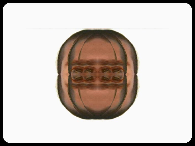 Video art Faces, 2003 - וידאו ארט פרצופים, 2003