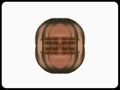 Video art Faces, 2003 - וידאו ארט פרצופים, 2003