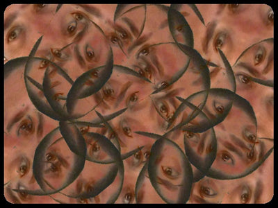 Video art Faces, 2003 - וידאו ארט פרצופים, 2003
