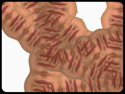Video art Faces, 2003 - וידאו ארט פרצופים, 2003