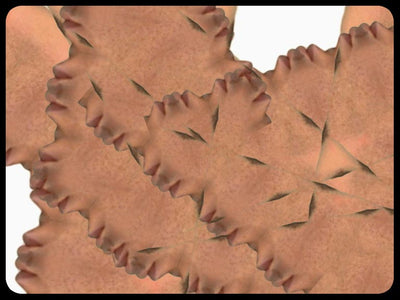 Video art Faces, 2003 - וידאו ארט פרצופים, 2003