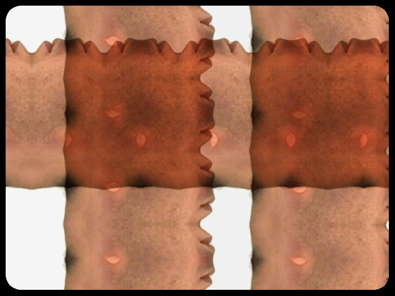 Video art Faces, 2003 - וידאו ארט פרצופים, 2003