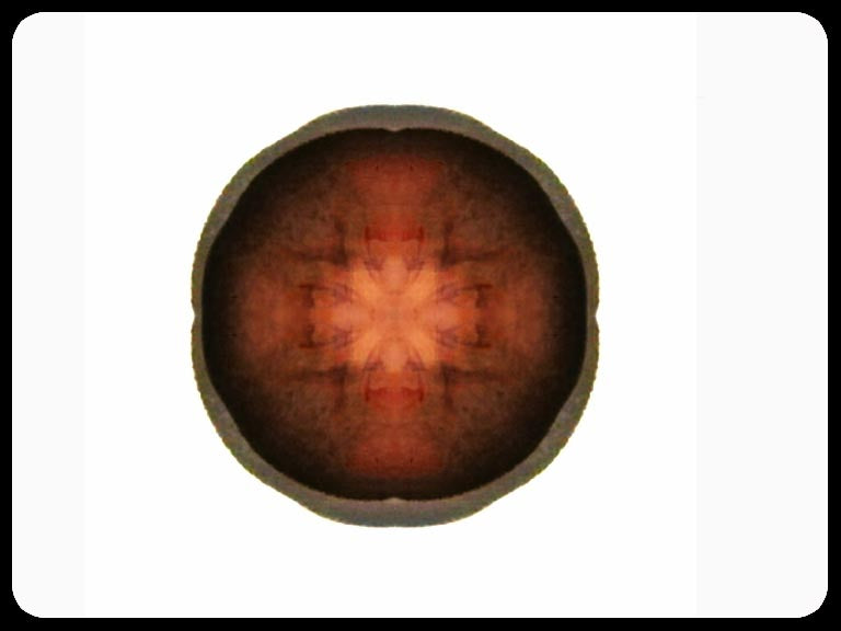 Video art Faces, 2003 - וידאו ארט פרצופים, 2003