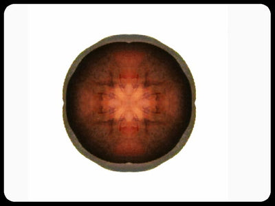 Video art Faces, 2003 - וידאו ארט פרצופים, 2003