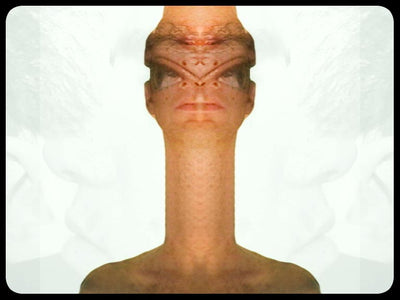 Video art Faces, 2003 - וידאו ארט פרצופים, 2003