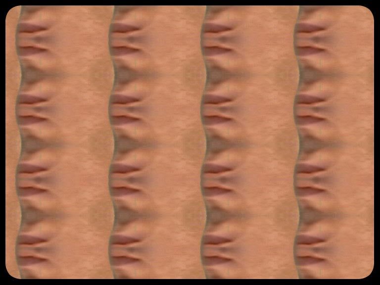 Video art Faces, 2003 - וידאו ארט פרצופים, 2003