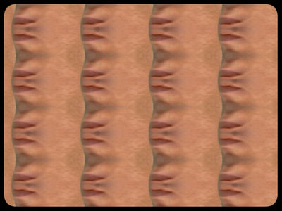 Video art Faces, 2003 - וידאו ארט פרצופים, 2003